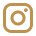 Instagram Icon